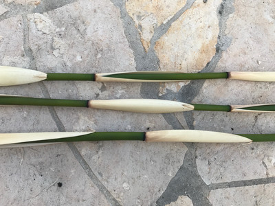 Gestreifter Bambus (white/green) 2 Stück 50cm