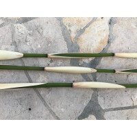 Gestreifter Bambus (white/green) 2 Stück 50cm