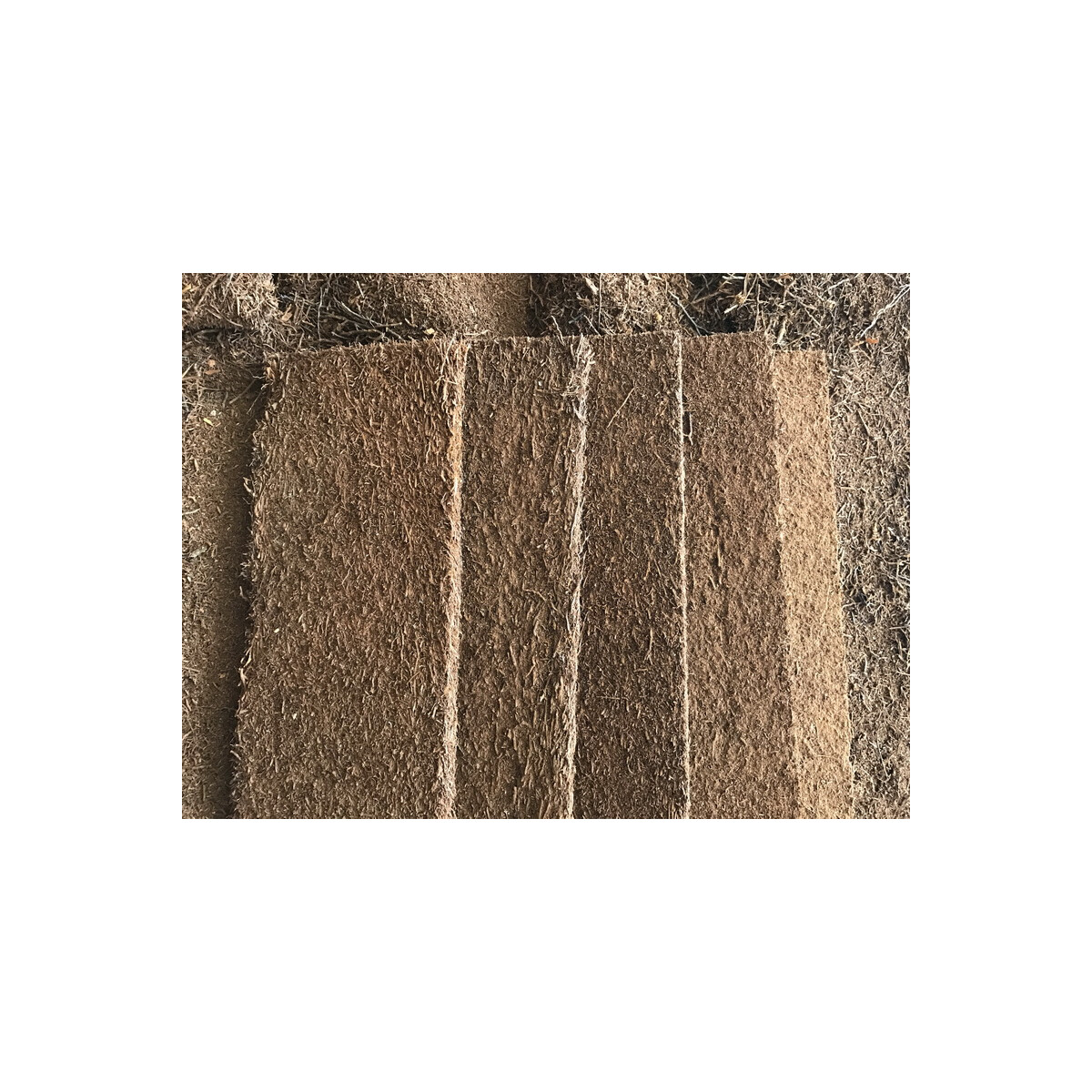 ANGEBOT 10 Xaximplatten aus Neuseeland  12,5x50x1,5cm ( weic