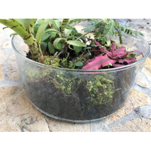 Flaschengarten-Sortiment 2