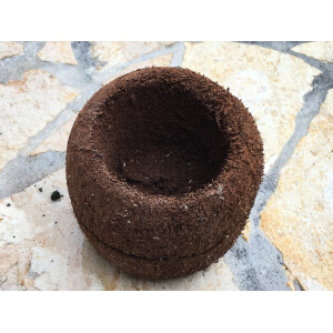 Xaximtopf aus Neuseeland 11,5x10cm (BxH) - ideal als Pflanztopf oder Dekoration für Ihr Terrarium NEU