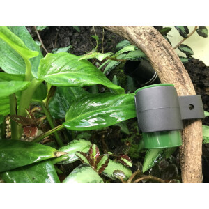 Dendro Laichhäusschen Clip Set 4 Stück