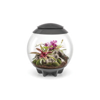 biOrb AIR 60 Terrarium grau