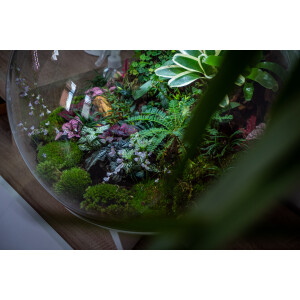 biOrb AIR 60 Terrarium weiss