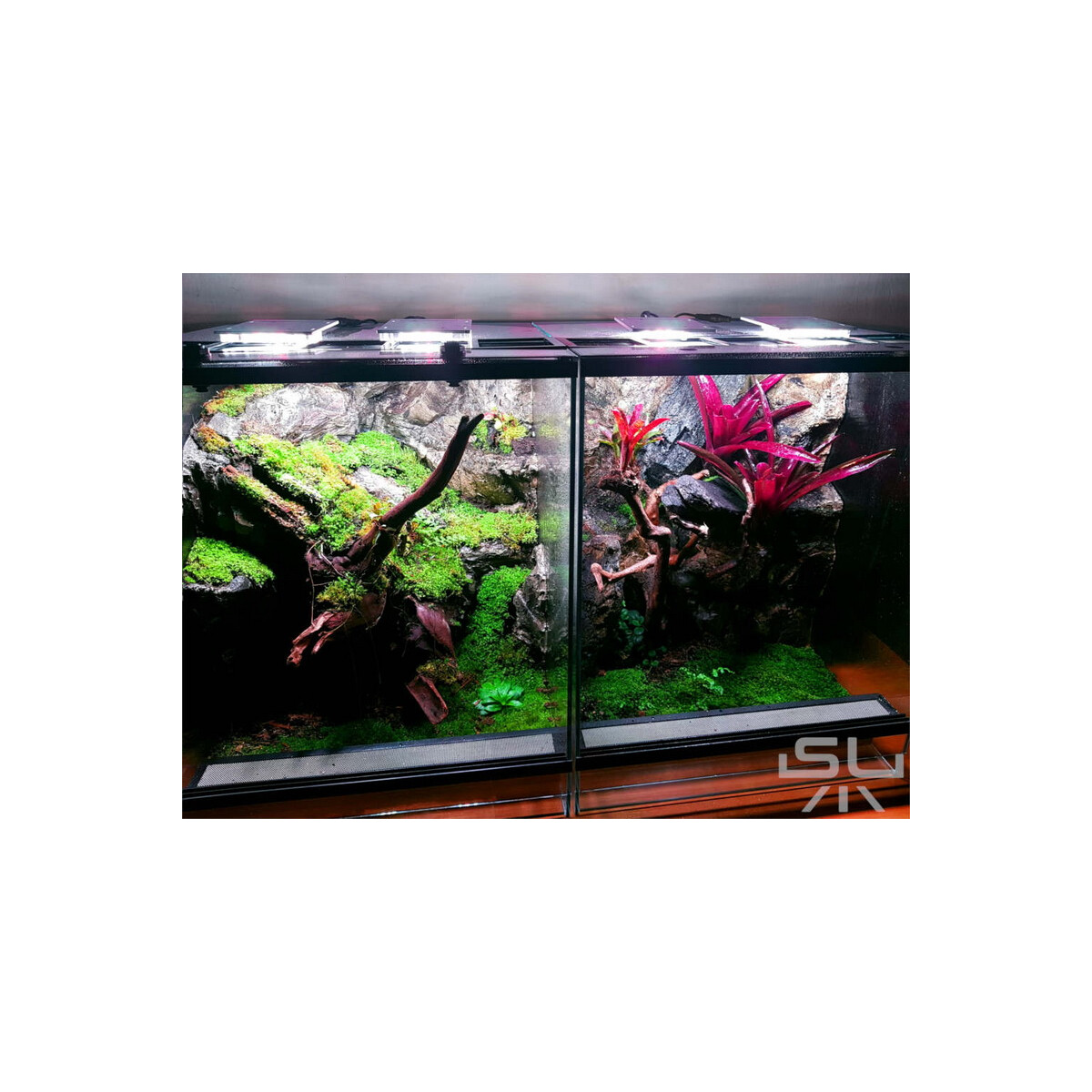 SKYLIGHT TINY 2H box