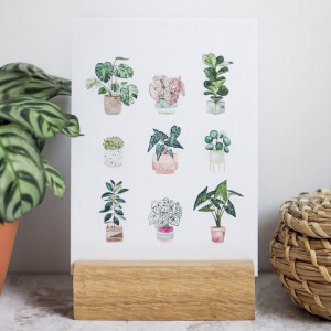 Postkarte A6 potted plants no.1 by Frollein Schmid