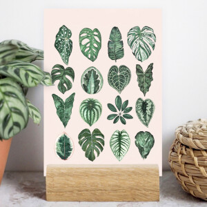 Postkarte A6 leaf love by Frollein Schmid