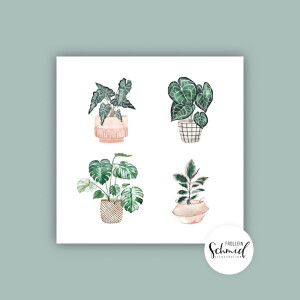 Postkarte 148x148mm potted plants by Frollein Schmid