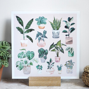 Poster 210x210mm potted plants by Frollein Schmid