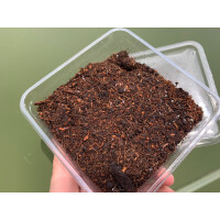 Braune Asseln 500ml Dose