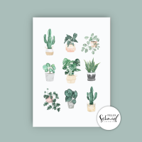 Poster A4 potted plants by Frollein Schmid