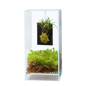 DOOA Terra Plate mit Hook