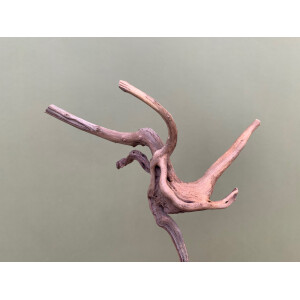 Fingerwurzel 10-15cm