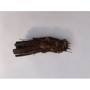 Xaximstamm natur 10-15cm lang