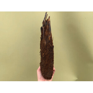 Halber Xaximstamm natur fein 20-30cm