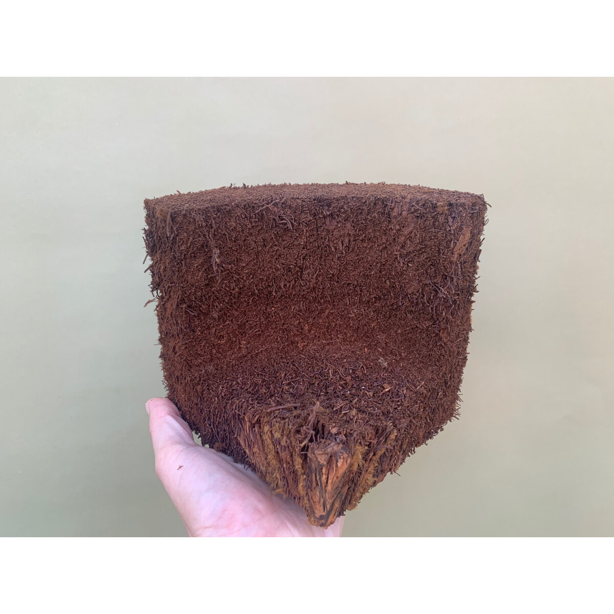 Eck Xaximtopf zum bepflanzen 18x10x15cm