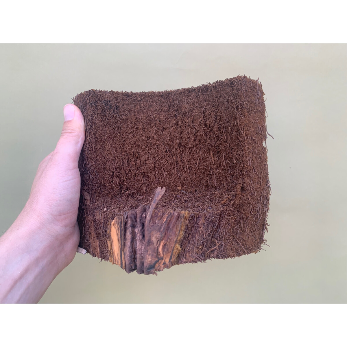 Eck Xaximtopf zum bepflanzen 19x12x17cm