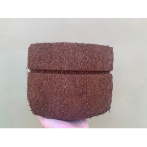 Eck Xaximtopf zum bepflanzen 19x12x17cm