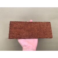 Xaximplatte 10x25x1cm für Rhapidophora und Monstera