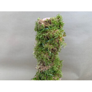 Ben´s Jungle Base L