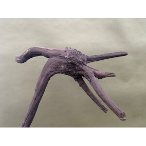 Fingerwurzel black 20-30cm