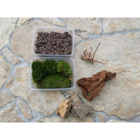 Jungle Bowl Deko Kit 1