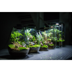 Bioloark Bio Bottle ZD150