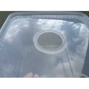 Zuchtbox 19x19x 19cm mit Gazedeckel