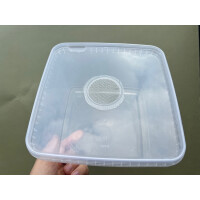 Zuchtbox 19x19x 19cm mit Gazedeckel