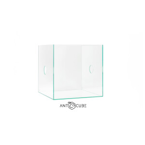 ANTCUBE Starter Set Vivarium 30x30x30 - Würfel
