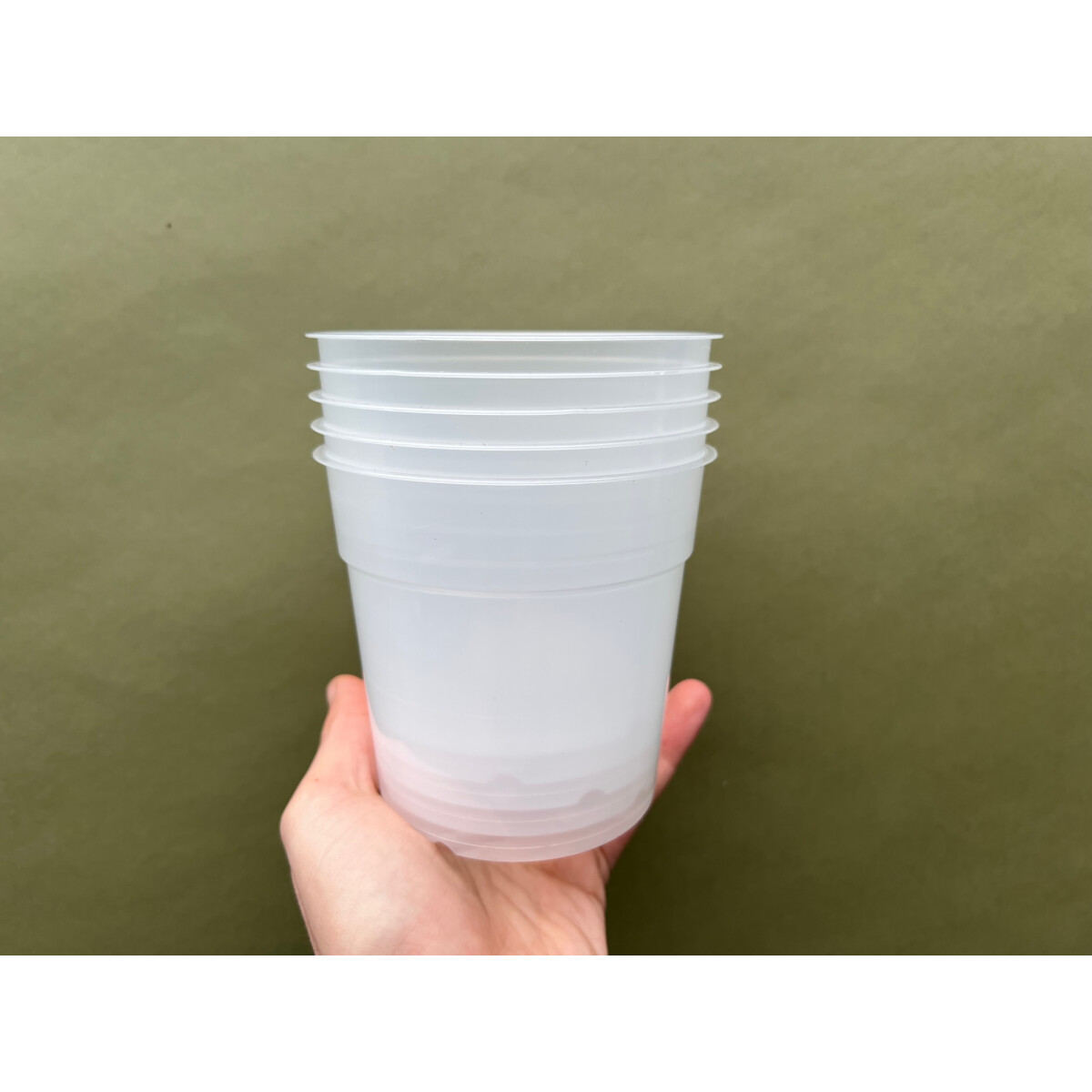 Pflanztopf Philodendron Kunststoff 11,5cm  5 Stück