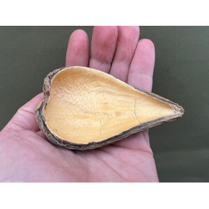 Fruit Peel Nusschale