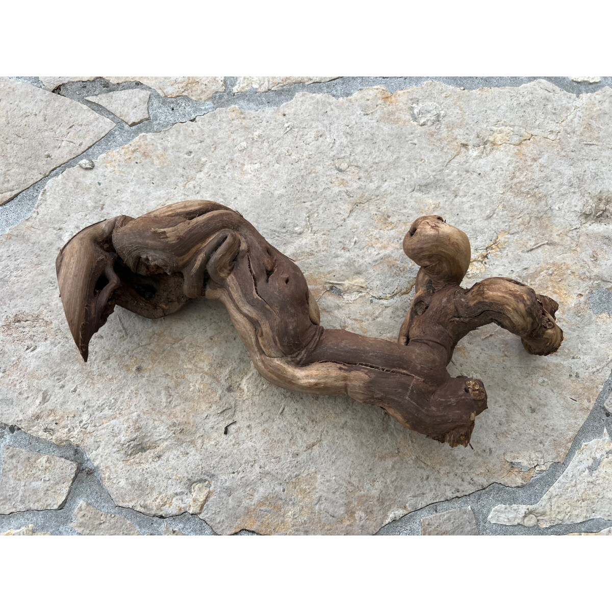 Rebholz zur dekoration L