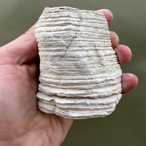 Orinoco Stone Jinstein