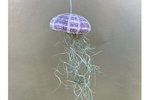 Jellyfish Decoration with Lousiana Moss