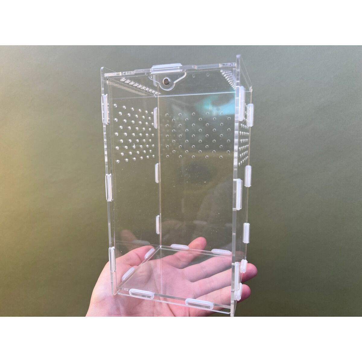 Spinnenterrarium S ( Achrylglas ) 11x11x20cm