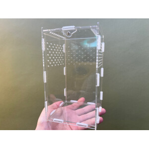 Spinnenterrarium S ( Achrylglas ) 11x11x20cm