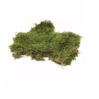 Plattenmoos 1000ml Dose