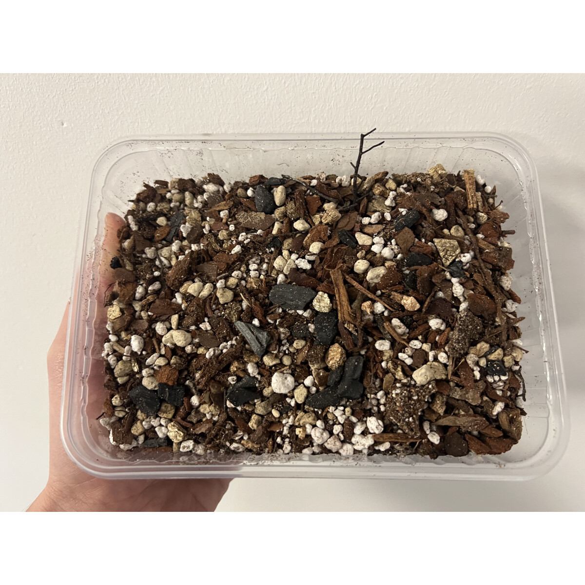 Bens Orchideen Soil, Spezial Erde 5 Lite box