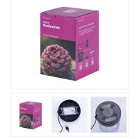 VivoVerde Mikro-Terrarium