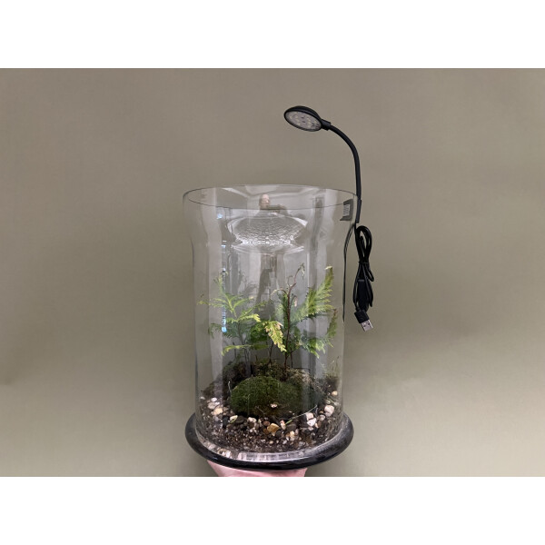 Mini LED 4W für Flaschengärten Terra Base & Co.