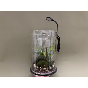 Mini LED 4W für Flaschengärten Terra Base & Co.