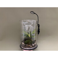 Mini LED 4W für Flaschengärten Terra Base & Co.