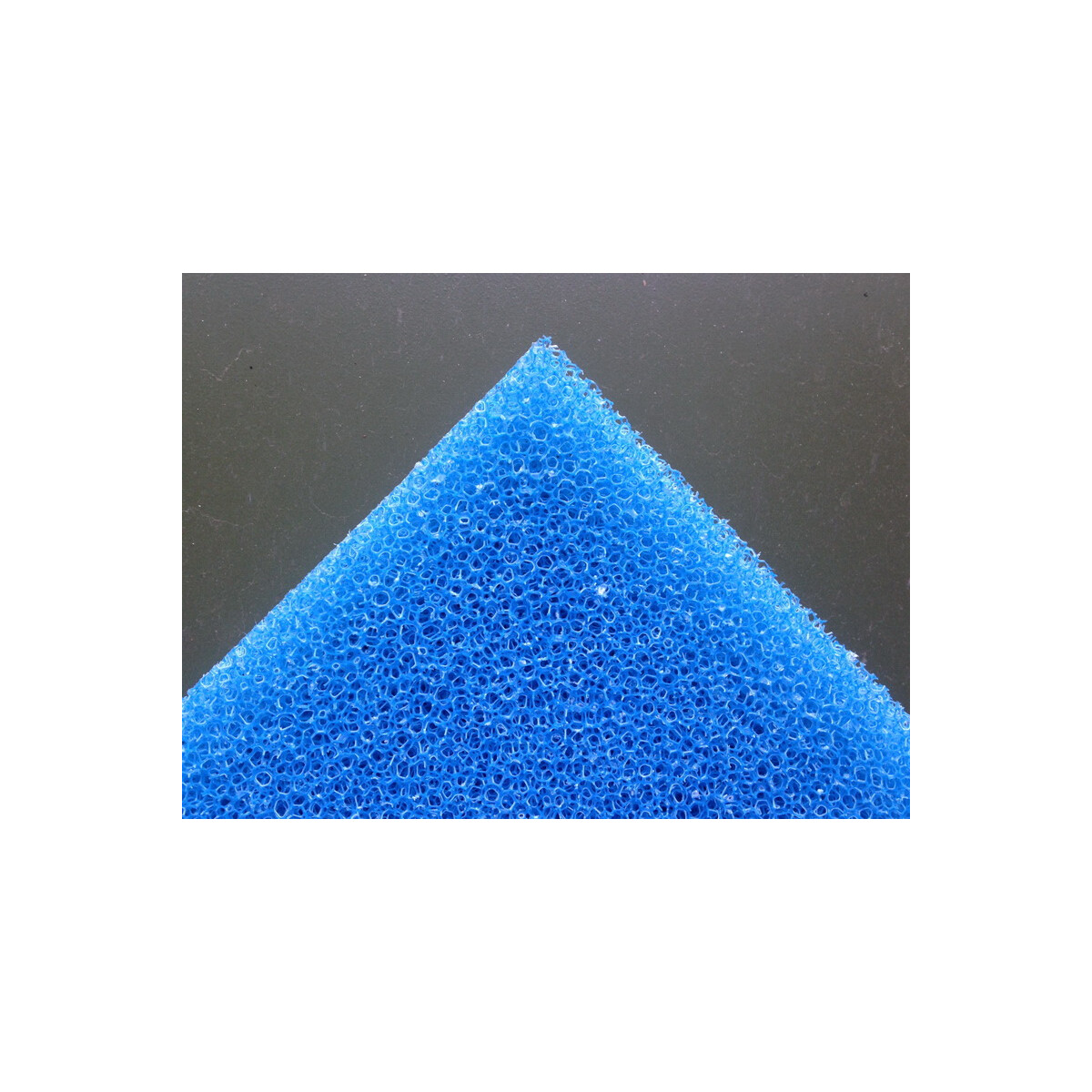 Frog Pad  50x50x5cm für die Froschzucht