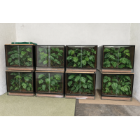Angebot Terrarienanlage mit Beleuchtung und Xaximplatten