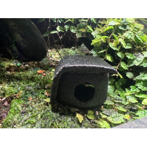 Laichhäusschen Jungle S