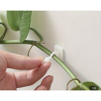 Rankhilfe für Philodendron oder Epipremnum 5 Stück