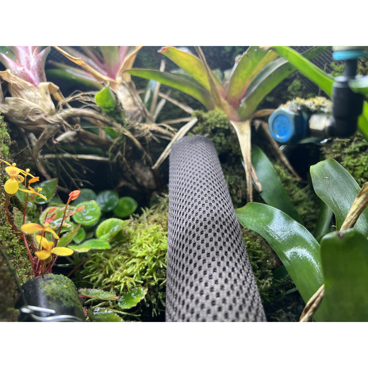 Hygrolon Liane 1 Meter box