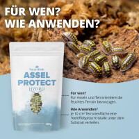 NatureHolic Assel HydroProtect - Wasserspeicher für Asselterrarien 50g