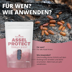 NatureHolic Assel Protect TerrainBoost - für die Bodenverbesserung im Asselterrarium 500g